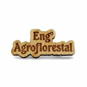 Pin de madeira – Engenharia Agro-Florestal